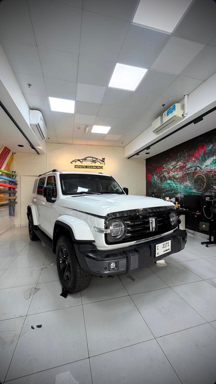 White GWM Tank 300 at White Diamond